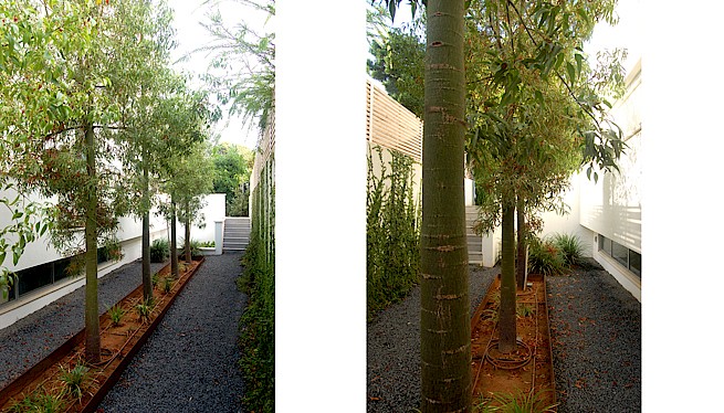 מ. גיא אדריכלים | תכנון בתים פרטיים | בית פרטי בהרצליה פיתוח 2